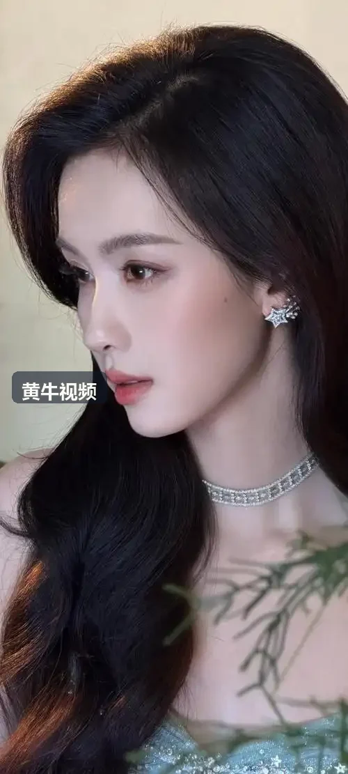泛目录怎么选更合适 - 黄牛视频